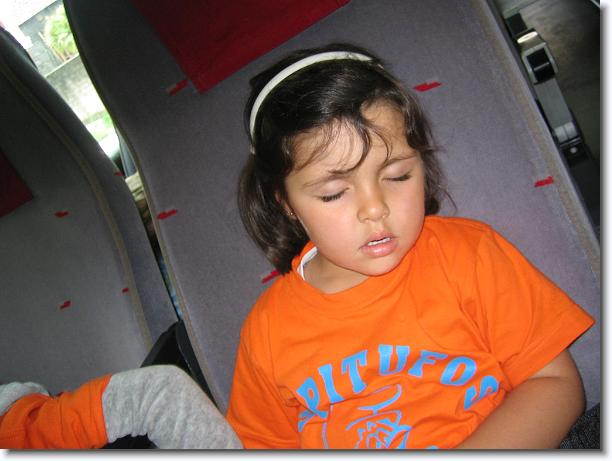 Diapositiva siguiente